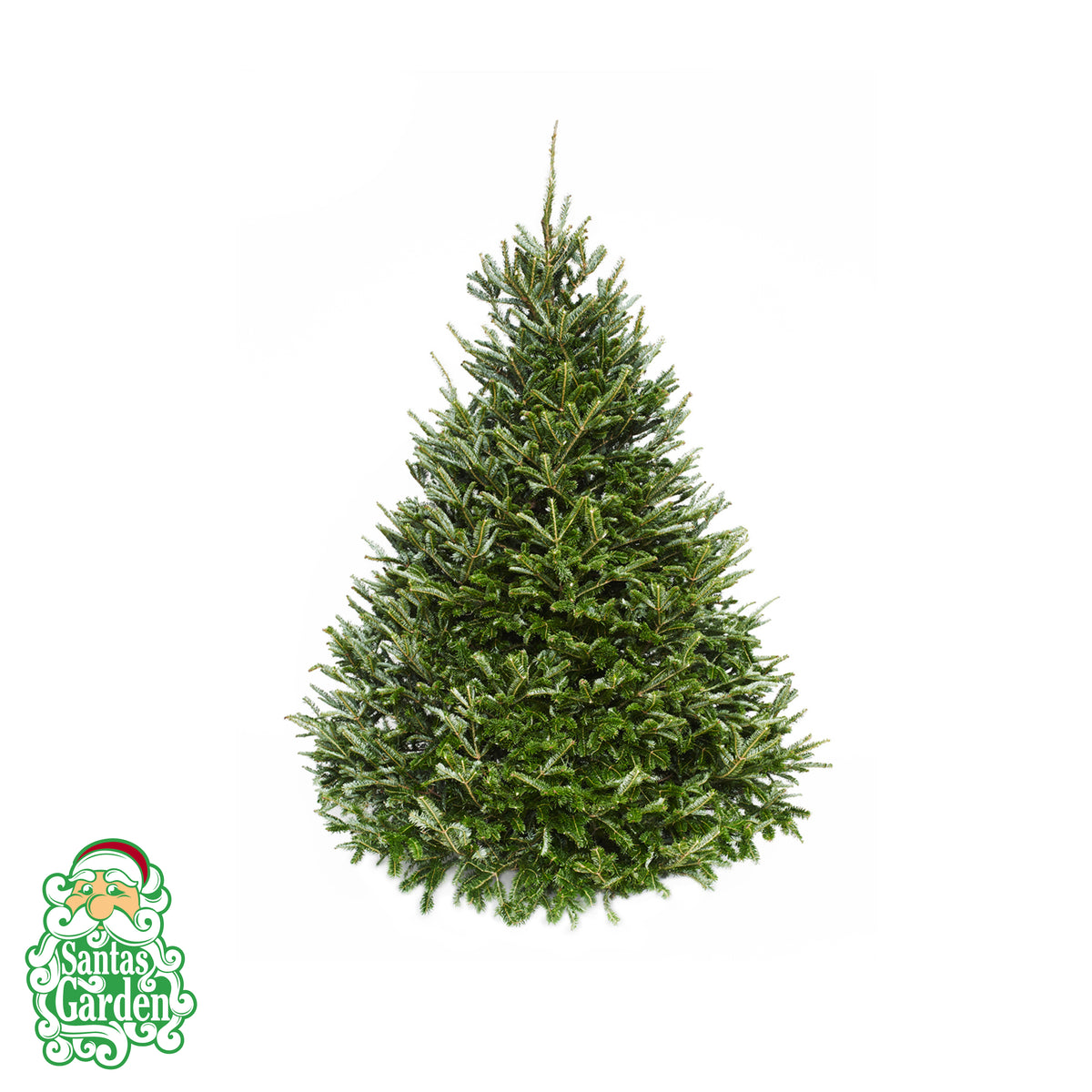 SantasProducts2_1200x1200.jpg?