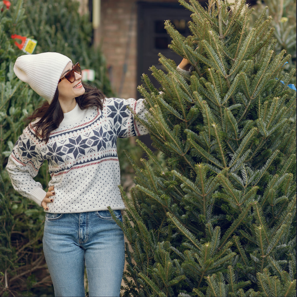 Santas Garden